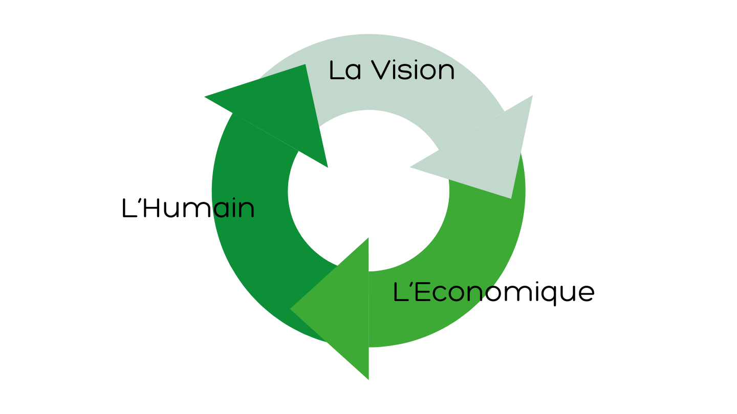 La vision